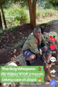 William Kimani: How I Earn Ksh.470,000 Every Month For Training Dogs.