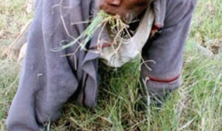 Two Men Found Eating Grass in Kirinyaga After They Stole From a Wrong Man’s House