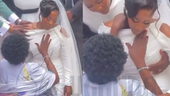 She Collapsed Before the Wedding Bells Rang (Meru)