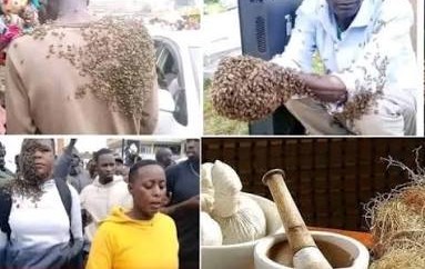 Two Thieves Celebrate Successful Robbery, By Morning, Their House Is Covered in Thick Black Bees That Won’t Let Anyone Enter