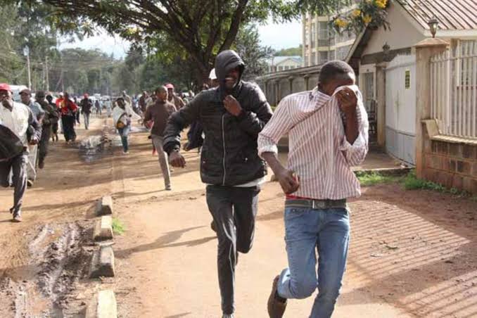 Kisii Politician on the Run After Swarm of Bees Disrupts Campaign Rally